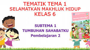 Tema 6 ini merupakan kelanjutan dari tema 5 pada semester 1. Kelas 6 Tematik Tema 1 Selamatkan Makhluk Hidup Subtema 1 Pembelajaran 2 Youtube