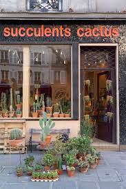 Cacti and succulents are by far the easiest and most rewarding plants to grow. Les Succulents Cactus In Paris Joelix