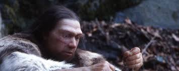 There is some debate as to whether they were a distinct species of the homo genus ( homo neanderthalensis ) or a subspecies. Museums In Nrw Neanderthal Museum In Mettmann