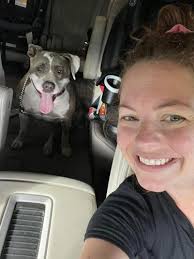 Jacksonville nonprofit to reunite lost dog with owner after five years  apart