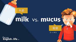 Mucus 中文
