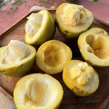 Image result for Casimiroa