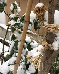 2 6 20 木 やっと雪国らしい景色を投稿出来るようになりました 今日の最低気温はマイナス4 との事だったので 昨夜は 亡き母が住んでいた裏の家の水道を 細く出したままで寝ました お陰で凍結による水道管の破裂はありませんでした 天気予報によると ladder