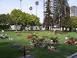 Image of Where is Elizabeth Montgomery buried?