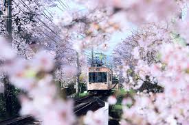 Best Times to Visit Japan