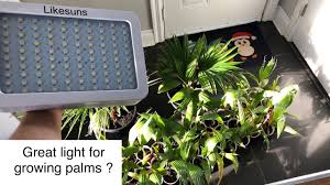 Maybe you would like to learn more about one of these? Likesuns 1000 Watt Led Grow Light Review Youtube