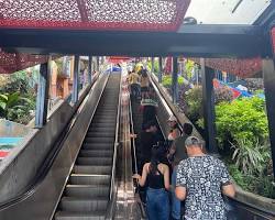 Imagen de Escaleras eléctricas Comuna 13, Medellín, Colombia