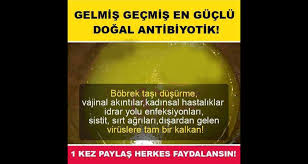 Dogal Antibiyotik Kadinsal Hastaliklara Sifa Dogal Dogal Saglik Saglik