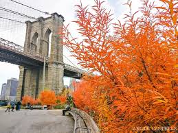 Pin En Newyork