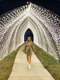 Lightscape At The Houston Botanic Garden Everything You Need To Know It S Not Hou It S Me