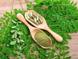 Saat ini sudah banyak yang sadar akan manfaat tanaman herbal dibandingkan dengan obat warung ataupun. 11 Manfaat Daun Kelor Untuk Ibu Hamil Orami