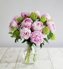 No matter your growing environment or flower preference, there is a peony to suit any style. Pin On Kartinki Dlya Vdohnoveniya