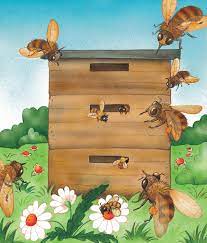 La vie des abeilles abeille dessin apiculteur ruche bricolage élever des abeilles maison abeille sauvez les abeilles. Les Abeilles Il Etait Une Histoire Ieuh
