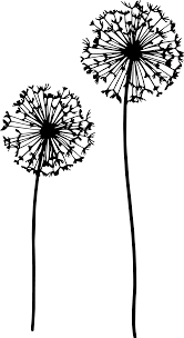 Download Dandelion Bundle Svg Files Dandelion Bundle Files For Cricut Dandelion Bundle Clipart Files Party Banners Handmade Crafts Craft Items
