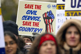 Federal workers laid off by DOGE sound off as they look for new jobs