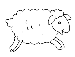 Image result for kleurplaat schaap