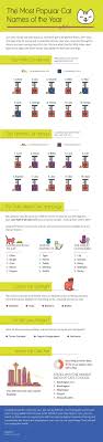 The most popular cat names for 2019 have been unveiled by cats protection in their annual survey — and there are some unexpected entries on the list, including merlin, broccoli and miss fizzy whiskers. 100 Top Male And Female Cat Names Of 2020 Cute Cat Names Cat Names Kitten Names Unique