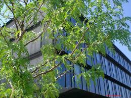 Ihre bank in mönchengladbach und umgebung die santander consumer bank ag mit hauptverwaltung in mönchengladbach bietet ihnen ein umfangreiches spektrum attraktiver bankdienstleistungen an. Eyecatcher Santander Bank Monchengladbach Seite 7 Hoch Tiefbau Baumaschinen Bau Forum Bauforum24