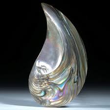 Other common names are ear shells, sea ears, and, rarely, muttonfish or muttonshells in parts of australia, ormer in the uk, perlemoen in south africa, and the maori name for three species in new zealand is pāua. Abalone Paua Shell Tropfenform Edelsteinschleiferei Atelier Hochstrasser