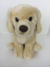 Rare Webkinz Signature Golden Retriever Plush Dog Wks1006 Ganz No Code Plush Dog Webkinz Soft Toy Dog