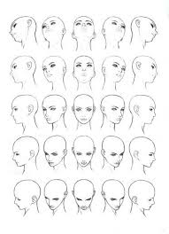Female Head Diagram Angle References Art Reference Poses Human Figure Drawing Drawings