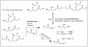 Take 30 seconds and join the 30seconds community and follow us on facebook to get recipes in your newsfeed daily. Scheme 1 Esterification Of Waste Cooking Oils Wcos And Related Download Scientific Diagram
