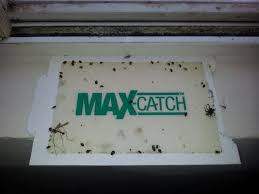 With a focus on customer care, we have been growing steadily, since establishing ourselves in 1999. Excel Pest Control Excelpest Twitter