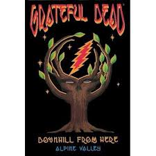 Amazon.com: The Grateful Dead - Ticket to New Year's : Jerry Garcia, Mickey  Hart, Bob Weir, Bill Kreutzmann, Phil Lesh, Brent Mydland, Tom Davis,  Neville Brothers, David Nelson, Jack Elliot, Len Dell'Amico: