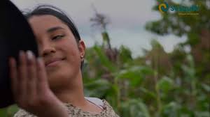 🌾🎉 ¡Sesquilé celebra el V Festival de la Tierra y su Cosecha y el II  Festival de Música Canpesina! 🎶🌻, La Administración Municipal, en cabeza  de nuestra alcaldesa Elsa Quintero Martínez, junto con la ...