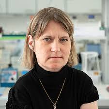 Georg-Speyer-Haus: Our Team