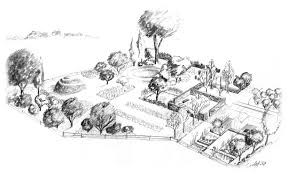 Birds Eye View Sketch Proposal By Scott Jessop Birds Eye View Garden Illustration Illustration Design
