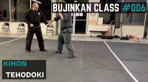 Tehodoki | Bujinkan Martial Arts Class #006 | 2021 - YouTube