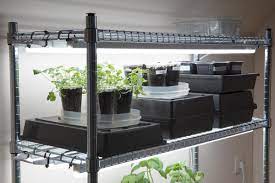 We did not find results for: Complete Diy Guide To Build Indoor Grow Light And Seed Starting System