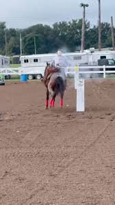 Sunmans Irish Pay (owned by Marcella Gruchalak), has been with No Reins  Performance Horses for the summer gearing up for the CMSA Derby. Over the  past weekend, he executed flawless patterns at the ...