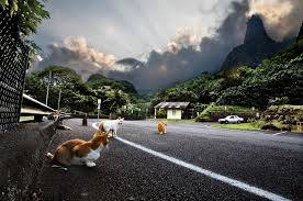 Photos, videos, & maps · 24/7 live support · verified reviews Iao Valley Needle Maui Hawaii Mapio Net