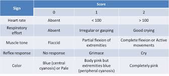 Essential Newborn Care Psm Made Easy