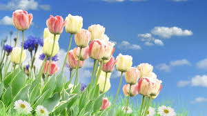The show was created by veteran newsmen robert macneil & jim lehrer, and has been on the air since 1975. Spring Has Sprung Remote Learning Resources