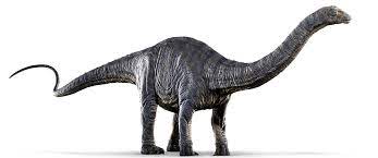 Enjoy our fun apatosaurus facts for kids. Apatosaurus Jurassic Park Wiki Fandom
