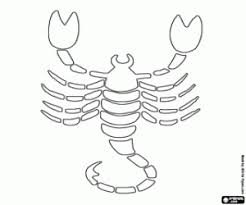 Ausmalbilder Skorpion Ein Zeichen Des Horoskops Zum Ausdrucken