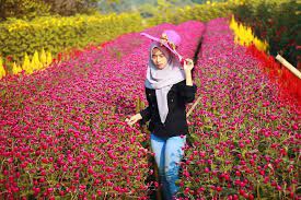 Maybe you would like to learn more about one of these? Halo Selamat Malam Kesinih Yuk Location Taman Bunga Bpi Rokoy Desa Sukasari Kec Kaduhejo Kab Pandeglang Banten Photo By Instagram Banten Collection
