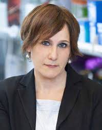 Your Support & How It Was Used