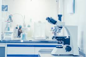 Business support manager at hb laboratories sdn bhd. About Us Johor Toyyiban Laboratories
