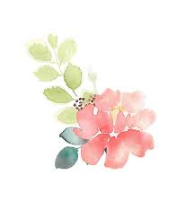 Questa foto è una foto di fiori, flora, peonie. Peonies Clipart Peony Flower Drop Floral Frame Peony Clip Art Pink Peach Rose Roses Bouquets Peony Elements Wedding Graphics Png Disegno Di Fiori Arte Clip Art