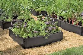Pollinator Garden Bed Hexagonal Cedar Bed Gardeners Com Above Ground Garden Above Ground Garden Bed Garden Types