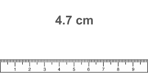 Reading a ruler is a valuable skill that you will likely use on your job, in your hobbies, and in your personal every day life. Metric Ruler Guided Practice For Cm Mm Middle School Science Blog