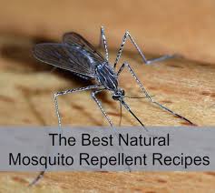 Maybe you would like to learn more about one of these? The Best Natural Mosquito Repellent Recipes Mom Prepares
