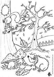 Pin Van Vera Farkasova Op Coloriage Dieren Kleurplaten Gratis Kleurplaten Herfst