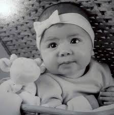 KW BeeBee van regio Kortrijk