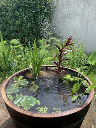 Miniteich Miniteich Naturgarten Teich