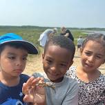 Estuary/Marine Exploration — Group for the East End